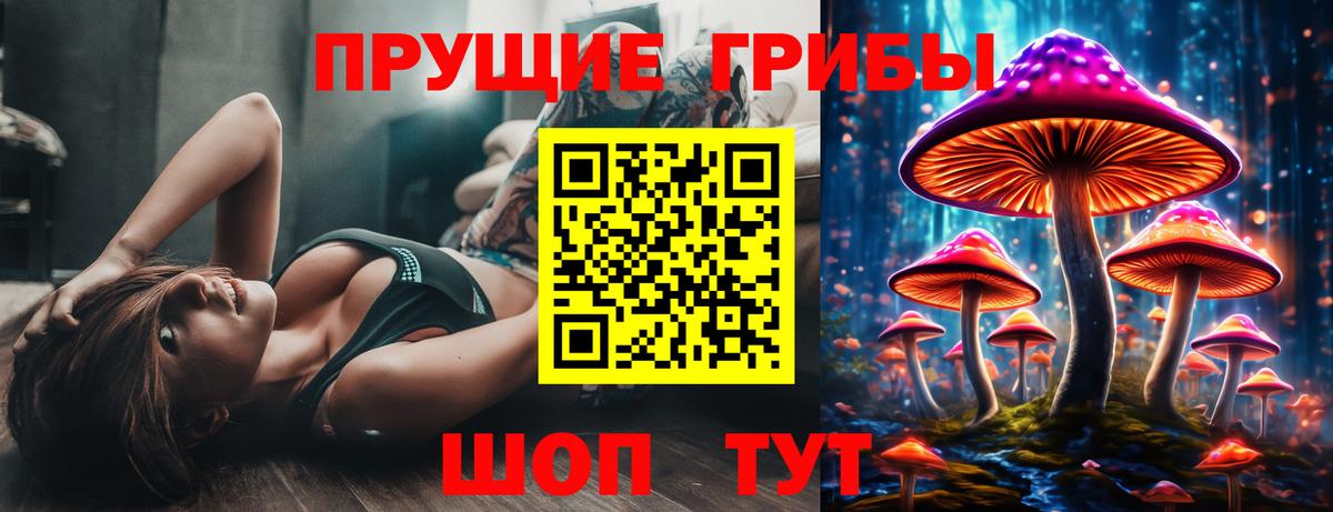Галлюциногенные грибы GOLDEN TEACHER  Псилоцибиновые грибы Cubensis  Новосибирск  Вход с VPN 