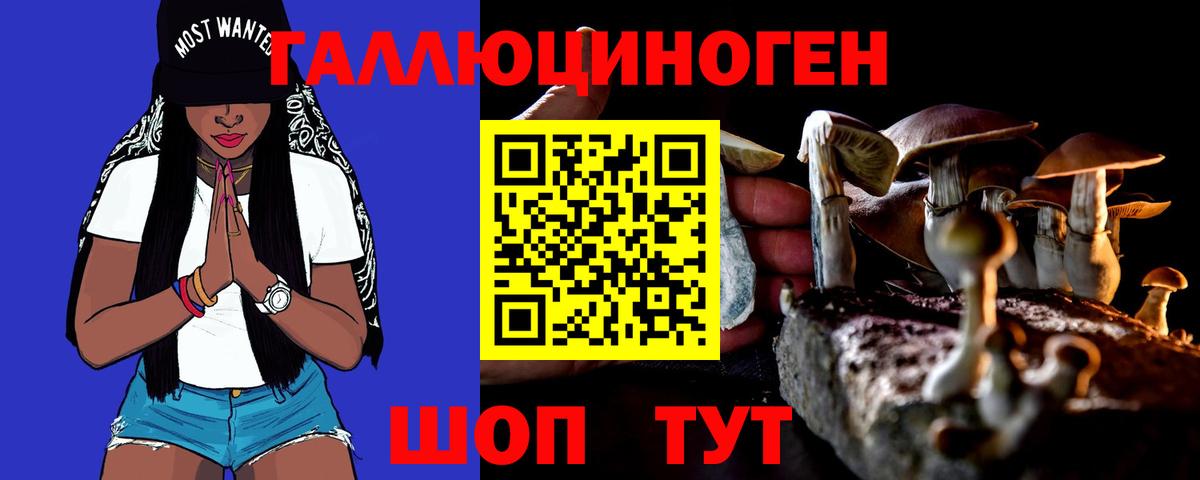 Меф МЯУ МЯУ   Канабис  Новосибирск  MDMA  Вход с VPN  Кокаин  Гашиш  A-PVP СОЛЬ  